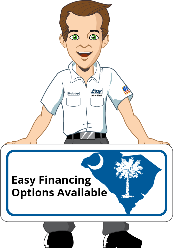 Cartoon rendition of our financing options